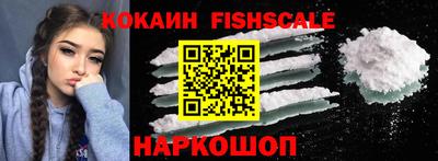 шишки Кингисепп