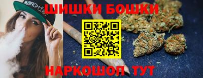 шишки Кингисепп