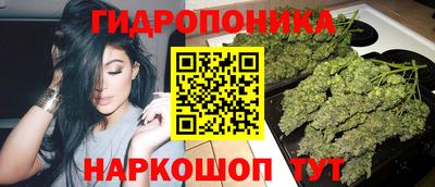 прущие крисы Кимры