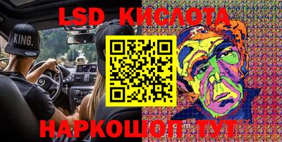 шишки Кингисепп