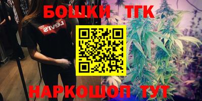 шишки Кингисепп