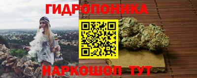 прущие крисы Кимры