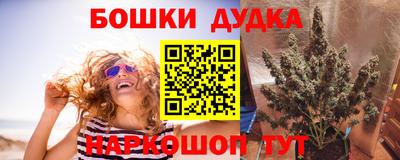 шишки Кингисепп
