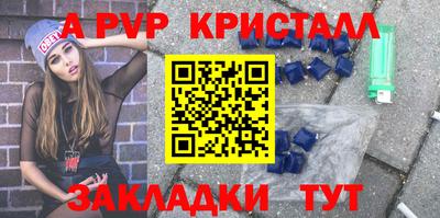 шишки Кингисепп
