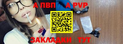 шишки Кингисепп
