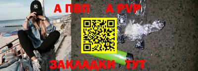 шишки Кингисепп
