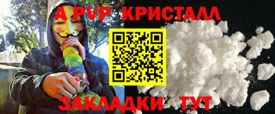 шишки Кингисепп